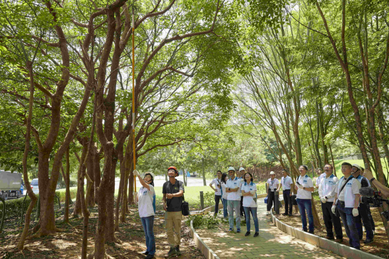 藝師教導大家認識樹木、檢查樹的健康狀況，學習修枝及碎枝覆土